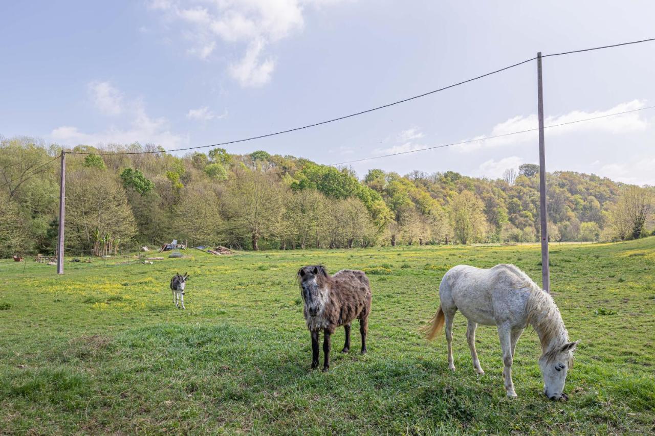 Gite Le Moulin Pocheluberry Bidache Εξωτερικό φωτογραφία